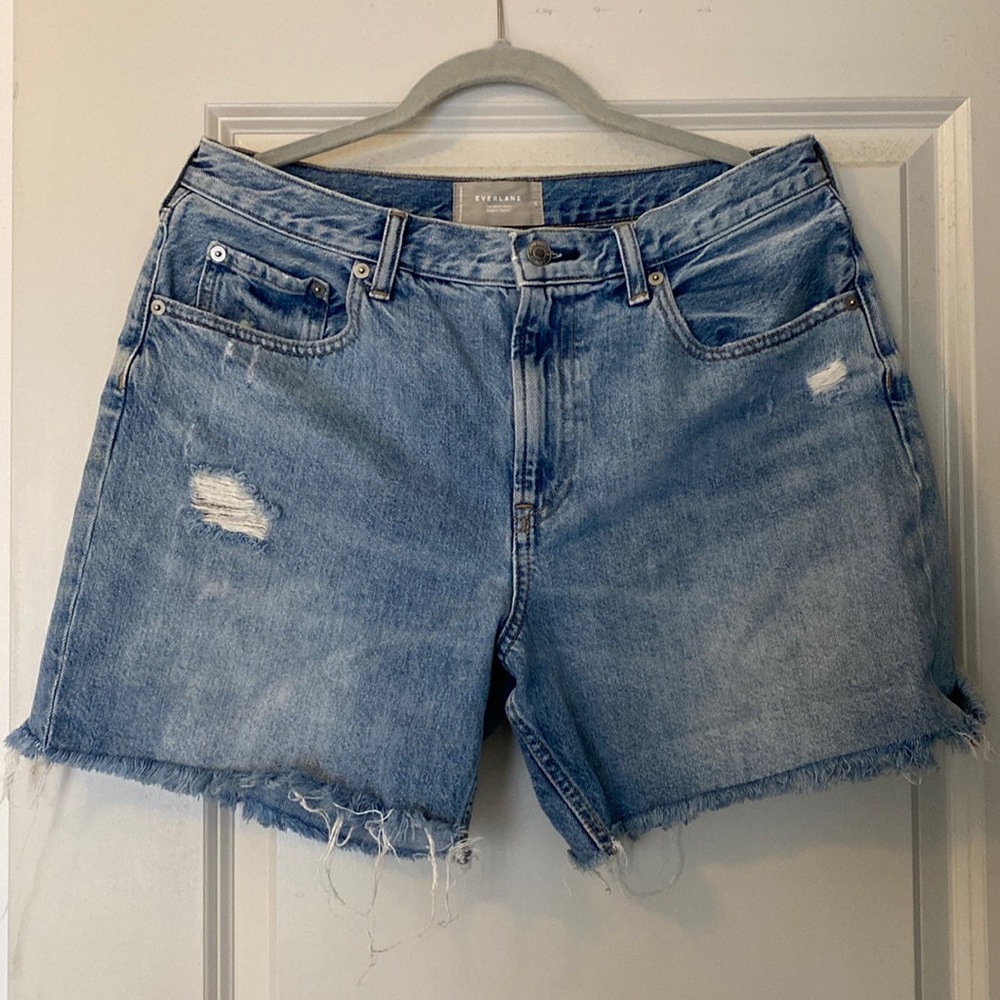 Everlane Denim Shorts